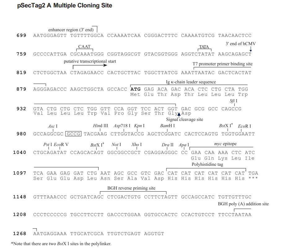 pSecTag2 A载体多克隆位点 点击看大图 pSecTag2 A多克隆位点
